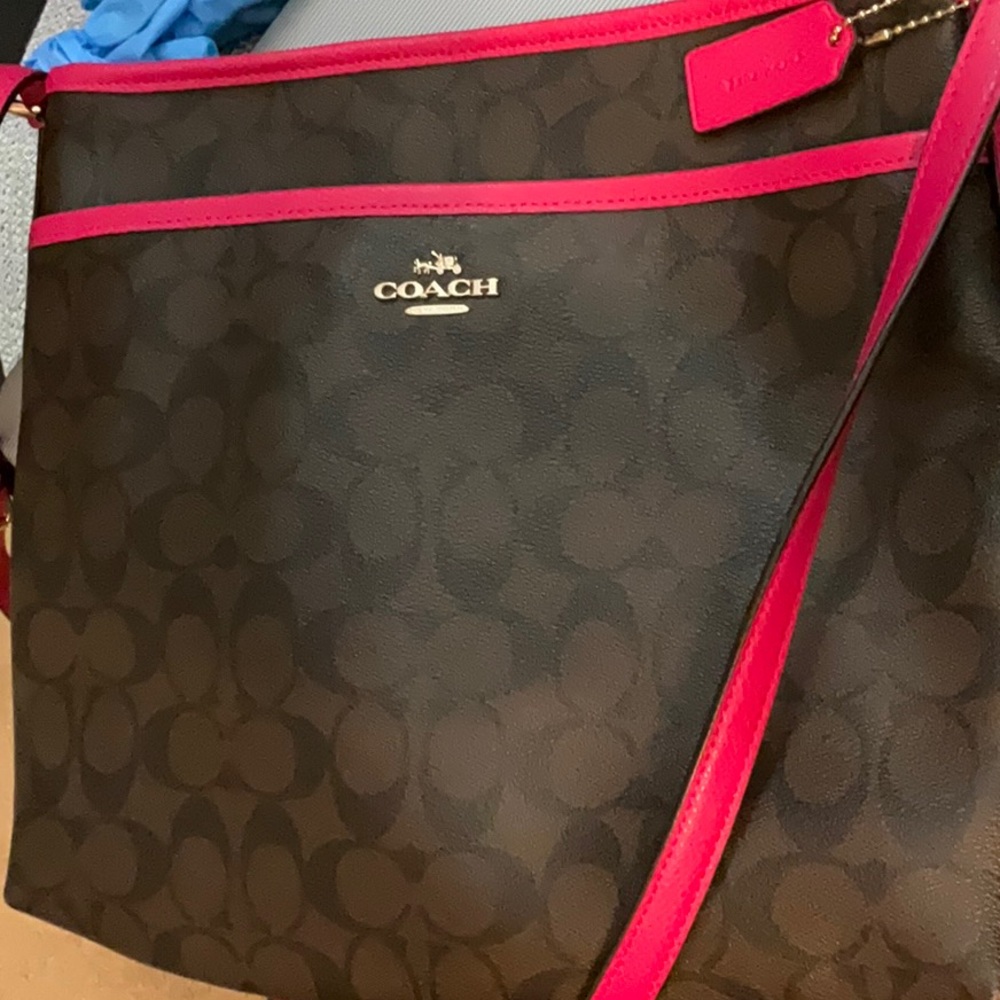 Pink Coach Cb